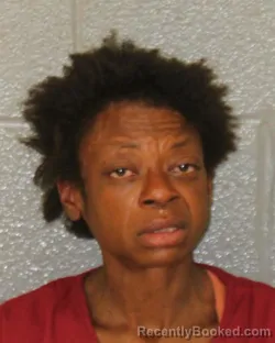 Mugshot of Larits Yvonne Stevenson booked in Mecklenburg County, North Carolina on August 25, 2026