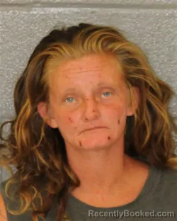 Mugshot of Loretta Vindaua Vaughn booked in Mecklenburg County, North Carolina on August 25, 2026