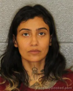 Mugshot of Susan Jaquez booked in Mecklenburg County, North Carolina on August 27, 2026