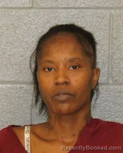 Mugshot of Tanisha Lashay Mcbroom booked in Mecklenburg County, North Carolina on August 27, 2026