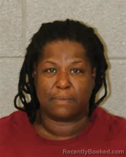 Mugshot of Shirleen M Peek booked in Mecklenburg County, North Carolina on August 28, 2026