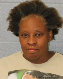 Mugshot of Adrienne Lee Mayfield booked in Mecklenburg County, North Carolina on August 30, 2026