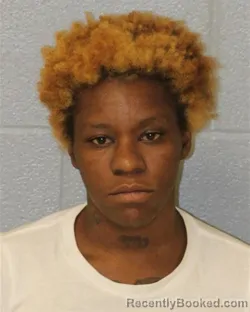 Mugshot of Stephanie Monique Conner booked in Mecklenburg County, North Carolina on August 31, 2026