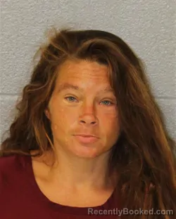 Mugshot of Tonya Renee Odom booked in Mecklenburg County, North Carolina on August 31, 2026
