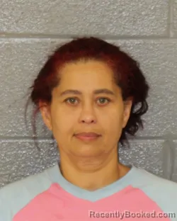 Mugshot of Lisandia Morales-Lopez booked in Mecklenburg County, North Carolina on September 1, 2026