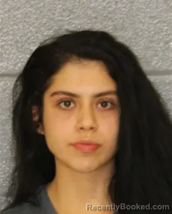 Mugshot of Jimena Flores-Figueroa booked in Mecklenburg County, North Carolina on September 29, 2026