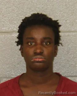 Mugshot of Aminata Trennetta Sylla booked in Mecklenburg County, North Carolina on September 30, 2026