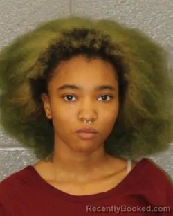 Mugshot of Keniyah Aaliyah Singleton booked in Mecklenburg County, North Carolina on October 1, 2026