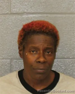 Mugshot of Nikia Shemika Reid booked in Mecklenburg County, North Carolina on October 2, 2026