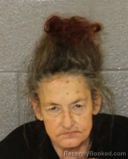 Mugshot of Joyce Starnes Lockamy booked in Mecklenburg County, North Carolina on October 3, 2026