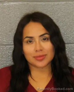 Mugshot of Evelyn Karina Renteria booked in Mecklenburg County, North Carolina on October 5, 2026