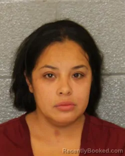 Mugshot of Tamar Yoguana Constanza booked in Mecklenburg County, North Carolina on October 8, 2026