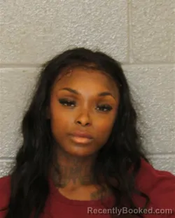 Mugshot of Sydni Rae Pagan booked in Mecklenburg County, North Carolina on October 11, 2026