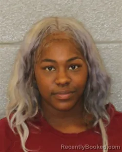 Mugshot of Znayqwa Jermanise Bruton booked in Mecklenburg County, North Carolina on October 12, 2026