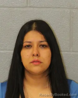 Mugshot of Wendy Patricia Pinto-Hernandez booked in Mecklenburg County, North Carolina on October 15, 2026
