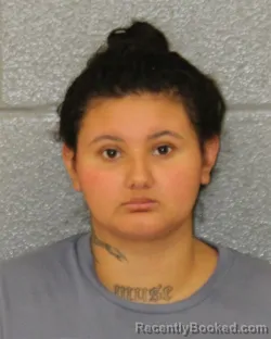 Mugshot of Daisy Sanchez booked in Mecklenburg County, North Carolina on October 17, 2026