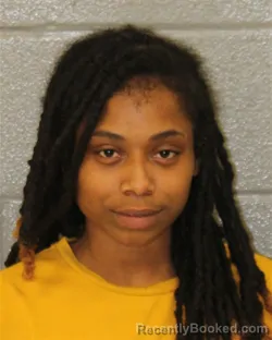 Mugshot of Tracey Ravonne Coleman booked in Mecklenburg County, North Carolina on October 18, 2026