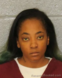 Mugshot of Destiny Toinesha Knox booked in Mecklenburg County, North Carolina on October 19, 2026