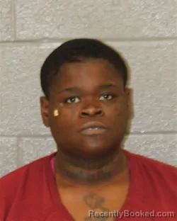 Mugshot of Kristin Chanelle Callahan booked in Mecklenburg County, North Carolina on October 20, 2026