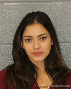 Mugshot of Angelina Lee Ayala booked in Mecklenburg County, North Carolina on October 21, 2026