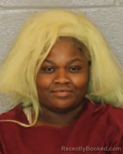 Mugshot of Corsana Yvonnie Hudson booked in Mecklenburg County, North Carolina on October 20, 2026