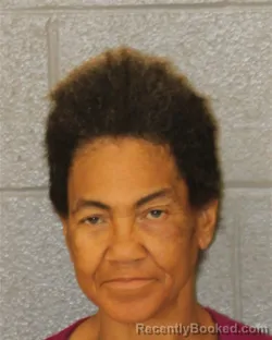 Mugshot of Adelana Amorita Nelson booked in Mecklenburg County, North Carolina on October 21, 2026