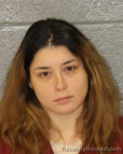 Mugshot of Nicolette Mackin booked in Mecklenburg County, North Carolina on October 22, 2026