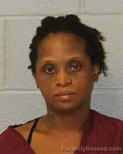 Mugshot of Shaleane Faye Johnson booked in Mecklenburg County, North Carolina on October 24, 2026