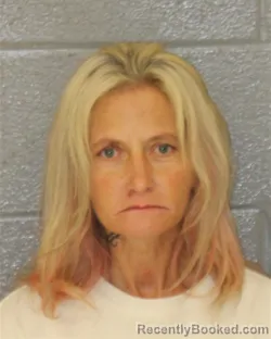 Mugshot of Danielle Victoria Barnes booked in Mecklenburg County, North Carolina on October 24, 2026