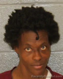 Mugshot of Dominique Lashawn Lecco booked in Mecklenburg County, North Carolina on October 24, 2026