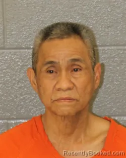 Mugshot of Son L Nguyen booked in Mecklenburg County, North Carolina on October 24, 2026