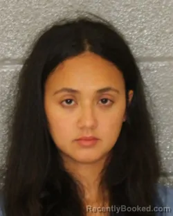 Mugshot of Tiffany Thi Nguyen booked in Mecklenburg County, North Carolina on October 25, 2026