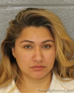 Mugshot of Claudia Pavlenko booked in Mecklenburg County, North Carolina on October 26, 2026