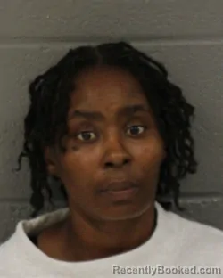 Mugshot of Mahoganny Ann Welch booked in Mecklenburg County, North Carolina on October 27, 2026