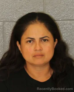 Mugshot of Damasenia Landero-Espinosa booked in Mecklenburg County, North Carolina on October 27, 2026