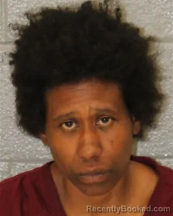Mugshot of Sheba Lashon Jennings booked in Mecklenburg County, North Carolina on October 27, 2026