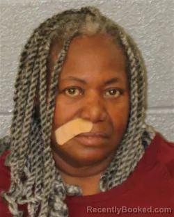 Mugshot of Angela Carolina Fee booked in Mecklenburg County, North Carolina on October 27, 2026