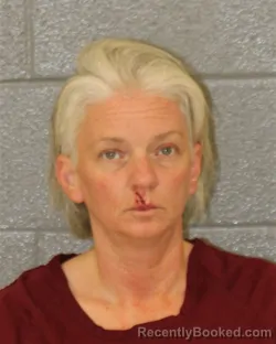Mugshot of Shawna Christine Harkins booked in Mecklenburg County, North Carolina on October 28, 2026