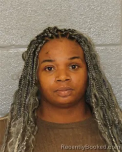 Mugshot of Jocelyn Shanee Young booked in Mecklenburg County, North Carolina on October 28, 2026