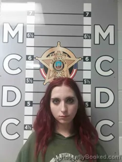 Mugshot of FLANNERY RAYENS booked in Madison County, Kentucky on July 10, 2026