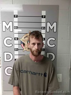 Mugshot of LEONARD DYER