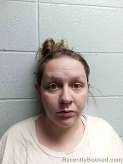 Mugshot of AMANDA PETERS