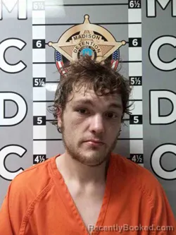 Mugshot of BRANDON NAPIER