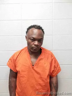 Mugshot of MICHAEL MIVINS