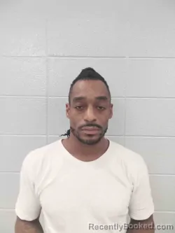 Mugshot of LATROY FOWLER