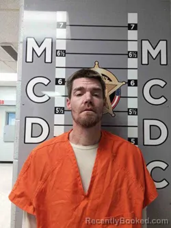 Mugshot of MICHAEL JONES