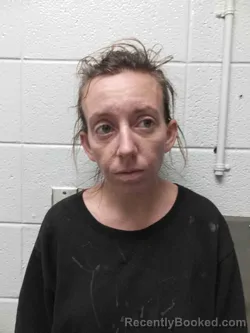 Mugshot of SARAH JURGENSEN booked in Madison County, Kentucky on April 4, 2026