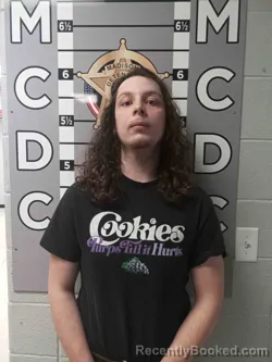 Mugshot of JAMES WAGERS