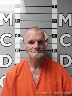 Mugshot of MICHAEL LAKES