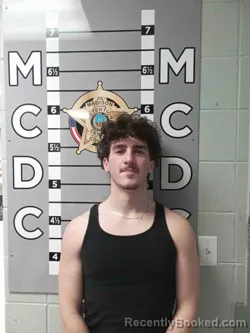 Mugshot of PARKER WILSON